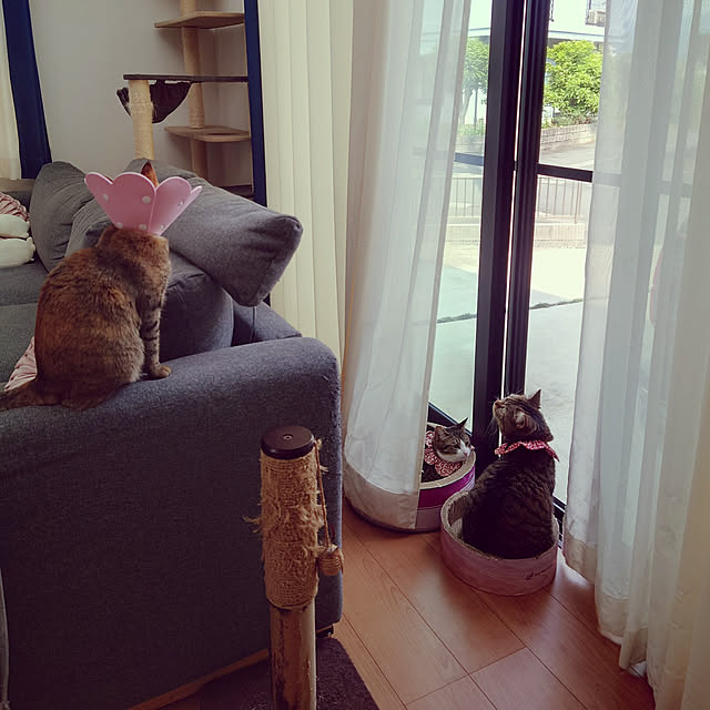 mochicoさんの実例写真