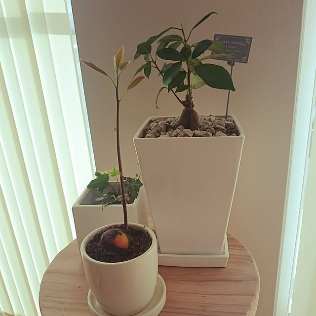 wataさんの実例写真
