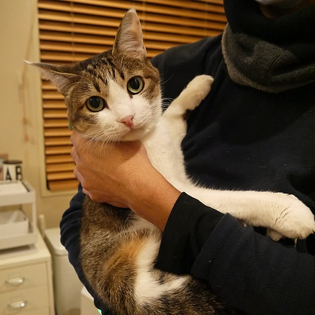yossyさんの実例写真