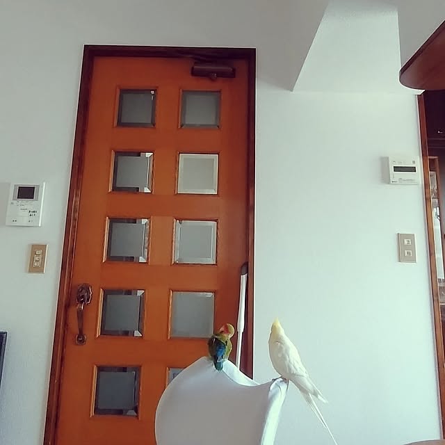 toratanさんの部屋