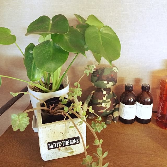 szk430okさんの実例写真