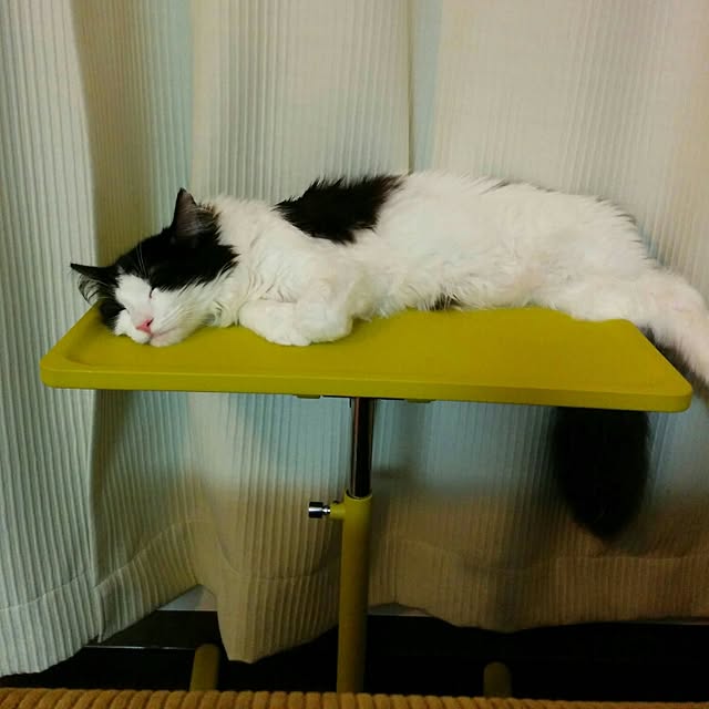 Chikaraさんの実例写真