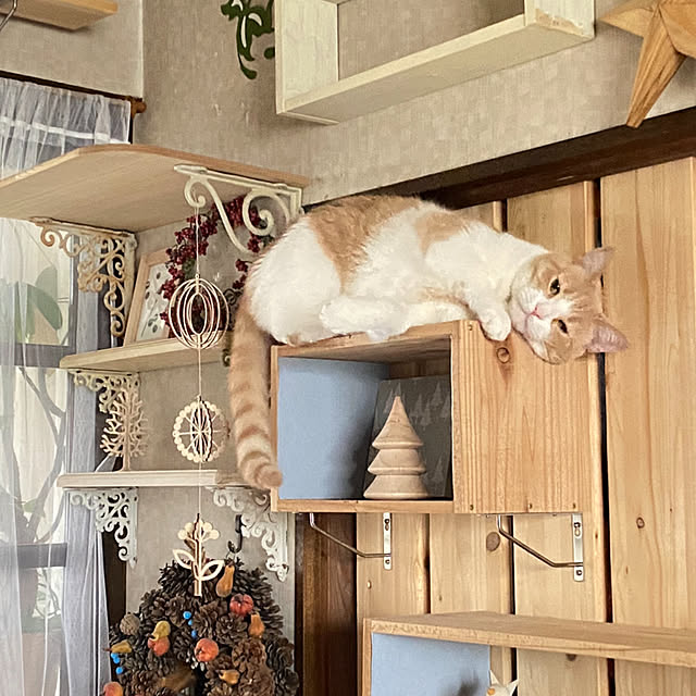 mintteaさんの部屋