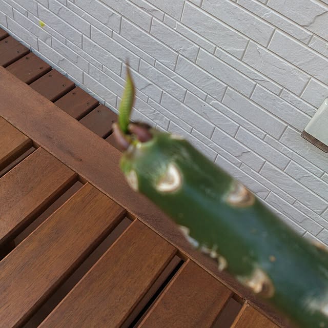 katieportさんの実例写真