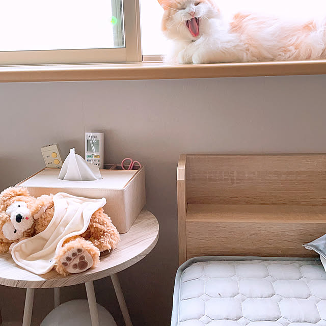 Mayuさんの部屋