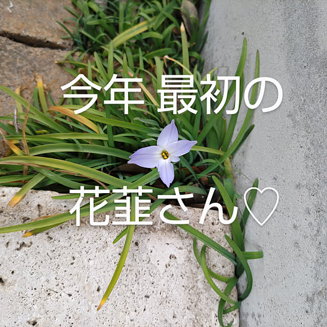 YUKOさんの実例写真