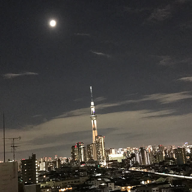 実例写真