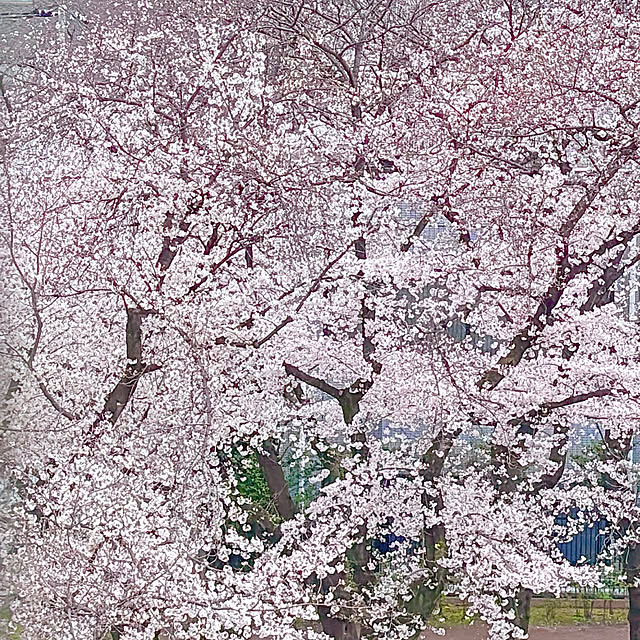 atkさんの部屋