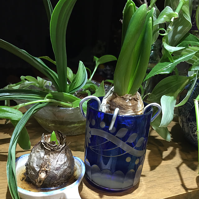 buchiさんの実例写真