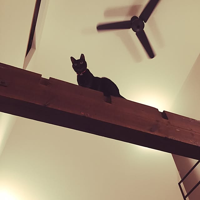 Manamiさんの実例写真
