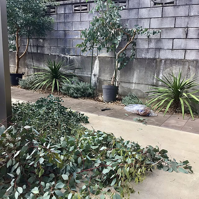 houenさんの部屋