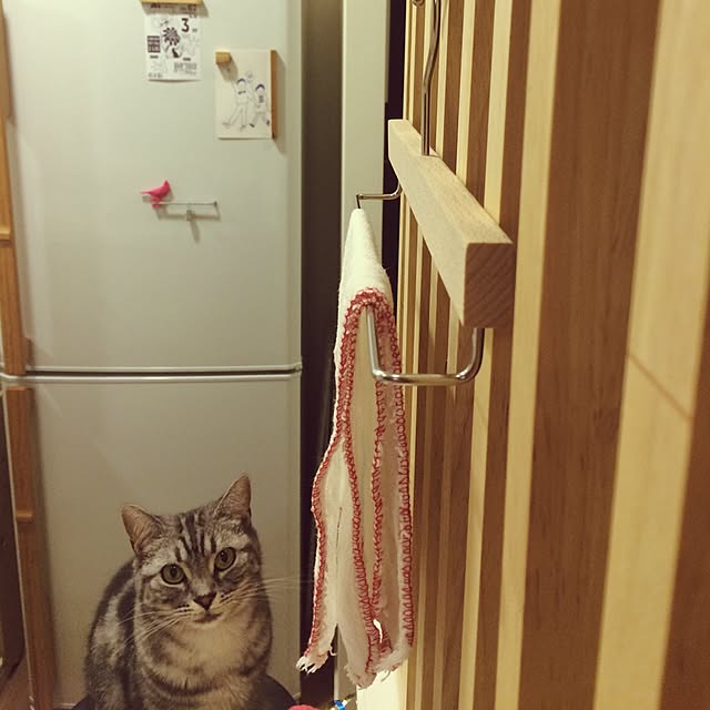 mikomaruさんの実例写真