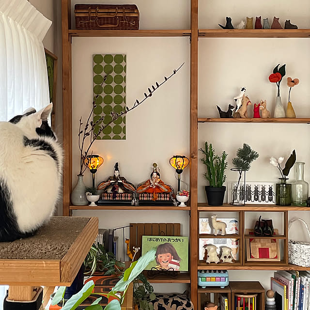 nobikoさんの部屋