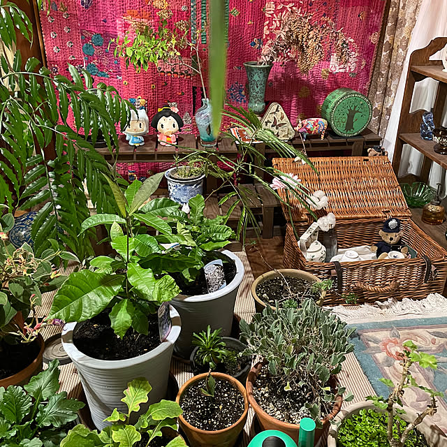 shin0719さんの実例写真