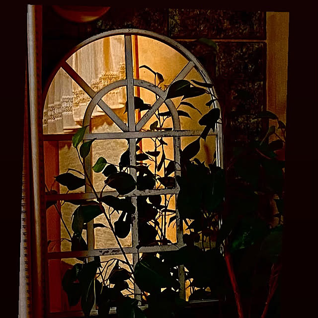 YuuKoさんのお部屋の写真