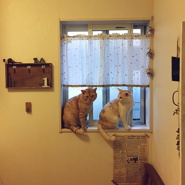 chiimalさんの実例写真