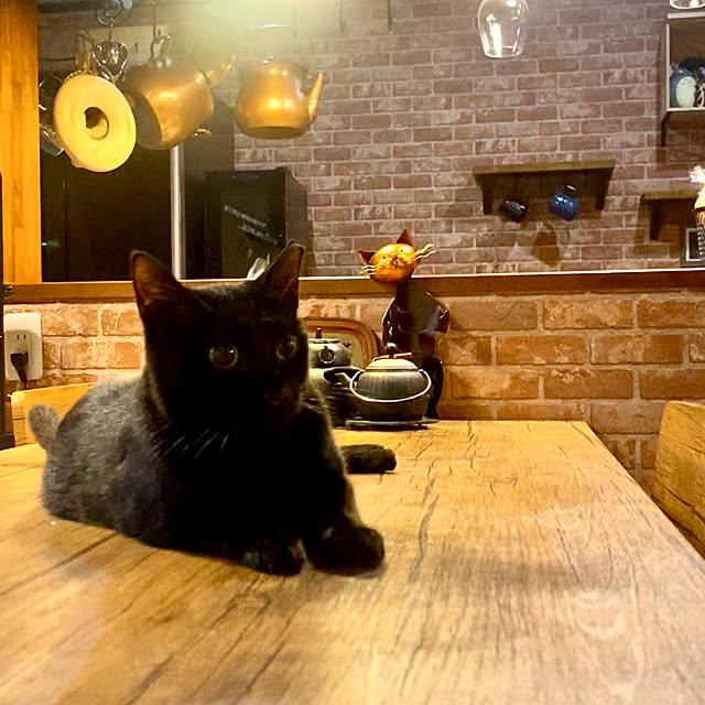butachanさんの実例写真