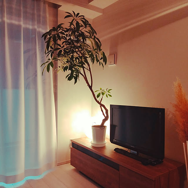 pyoin99さんの実例写真