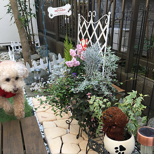 yukarimamaさんの実例写真
