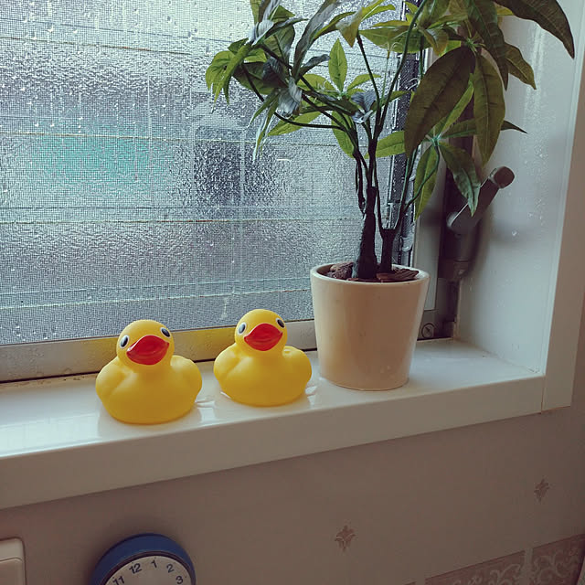 pineさんの実例写真