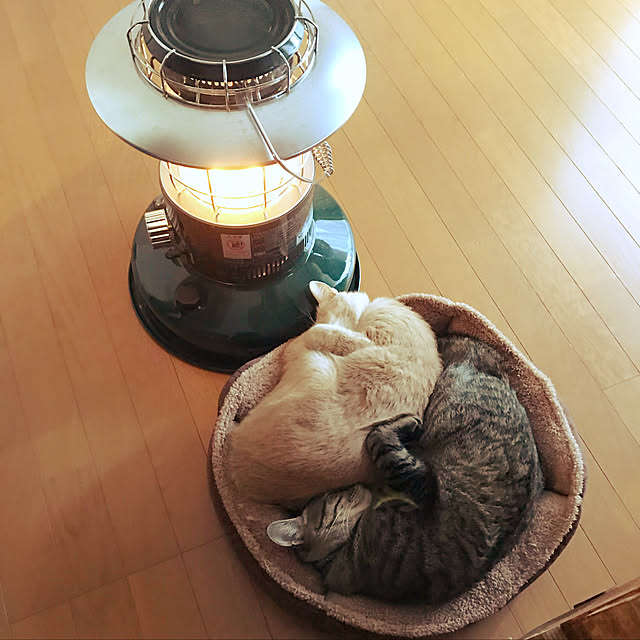 mikan161さんの実例写真