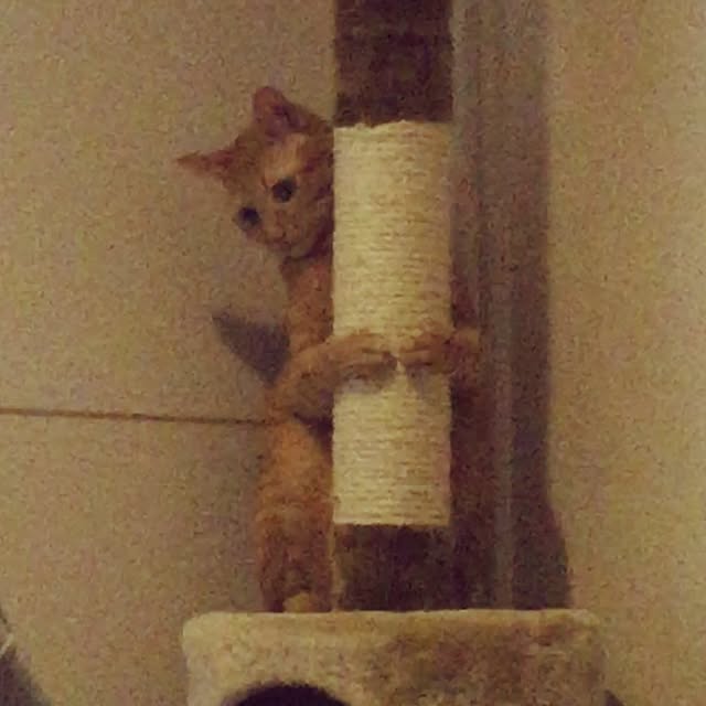 hiro3さんの実例写真