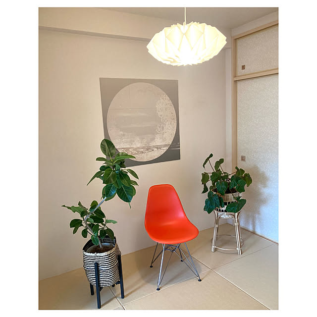 marukoさんの部屋