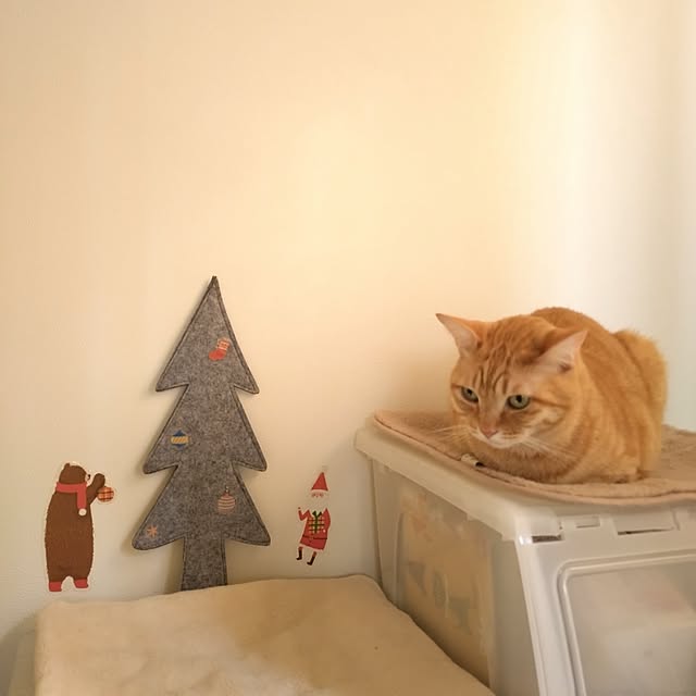 mayutan.さんの部屋