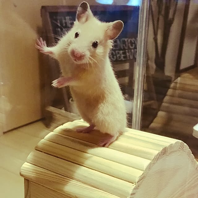 happiness.ay1206さんの実例写真