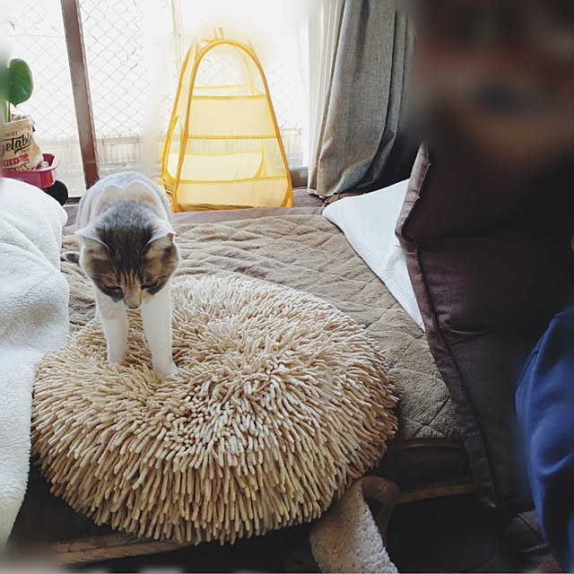 fukuさんの実例写真