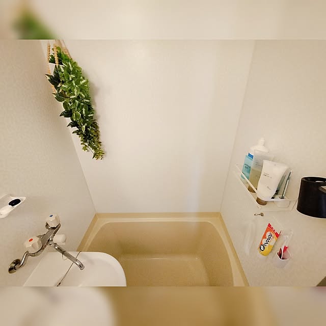 38さんの実例写真