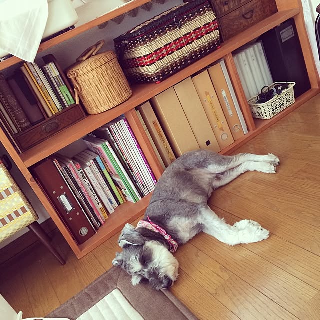 tamaharuさんの実例写真