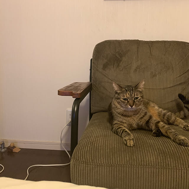 queさんの実例写真