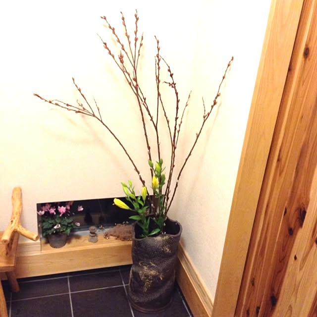 Kenroさんの実例写真