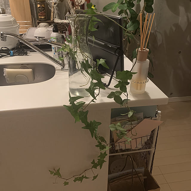 olive18さんの実例写真