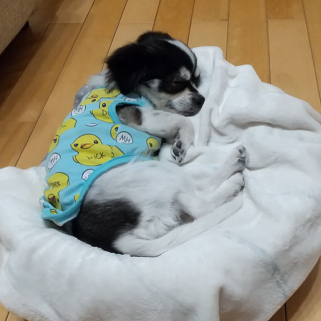 yukkoさんの実例写真