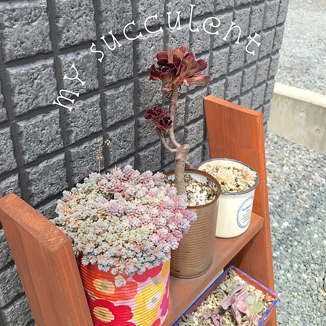 chiiさんの実例写真