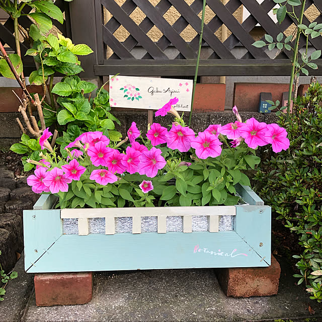 maron915さんの実例写真