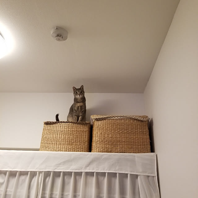 yukiさんの実例写真