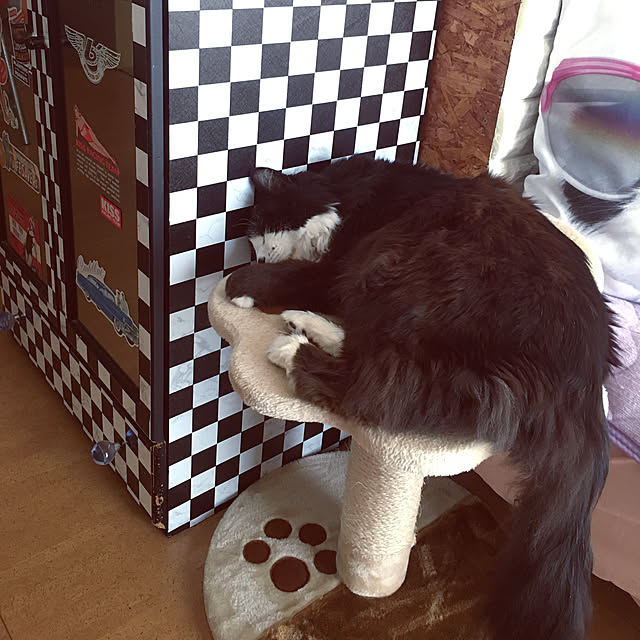 kanaさんの実例写真