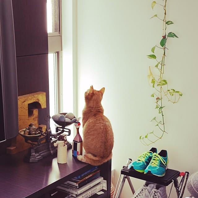 S900Eさんの実例写真