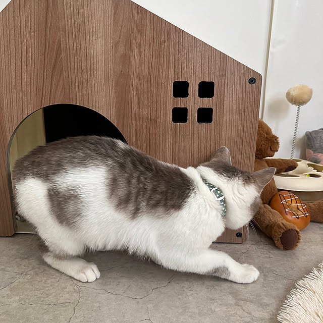 comiriさんの部屋