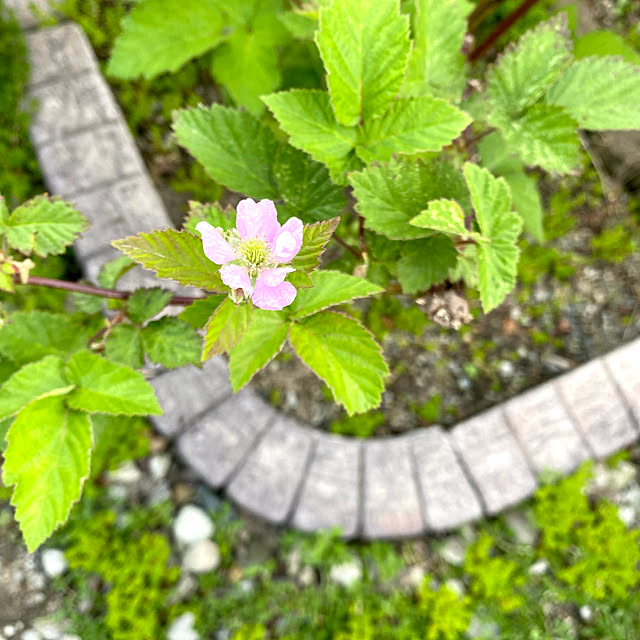 kojirotanさんの部屋