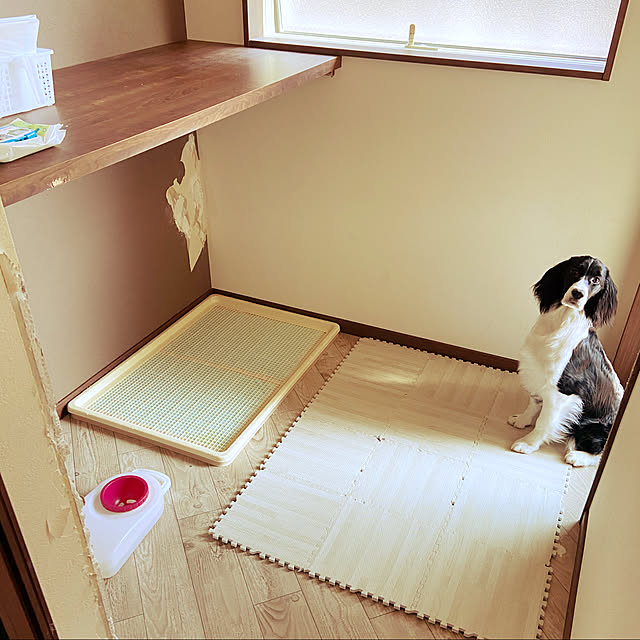 yuki_さんの実例写真