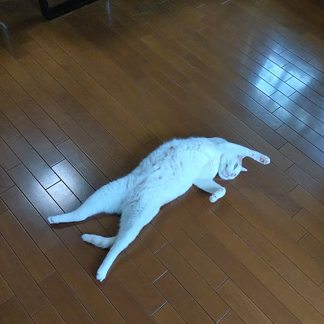 NOAHさんの部屋