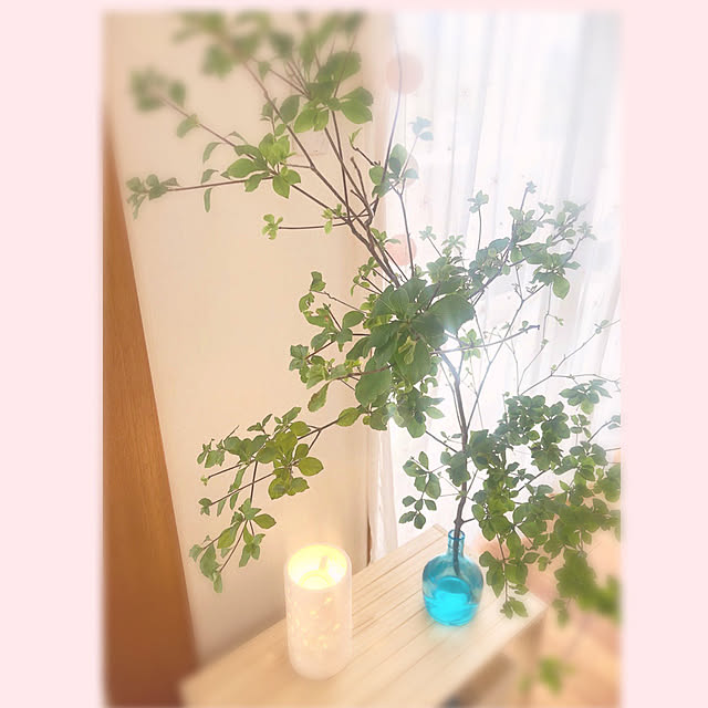 hatsu.0202さんの実例写真