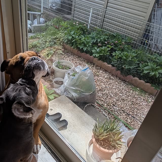 chi_gogaさんの実例写真