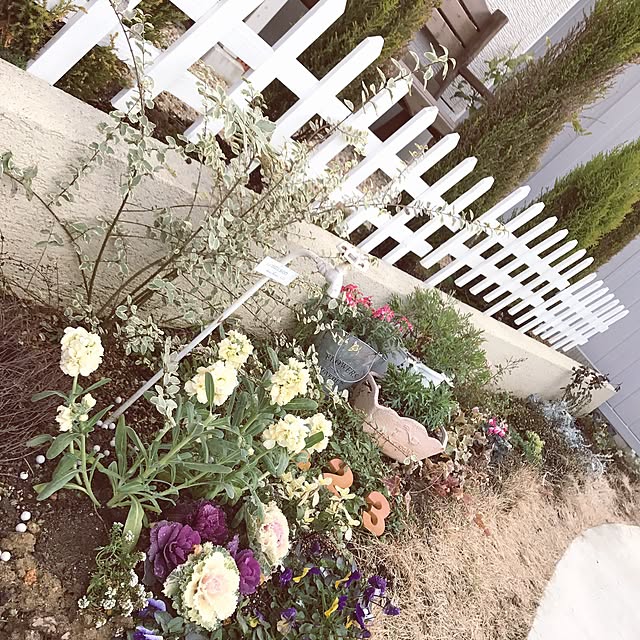 mini_archさんの実例写真