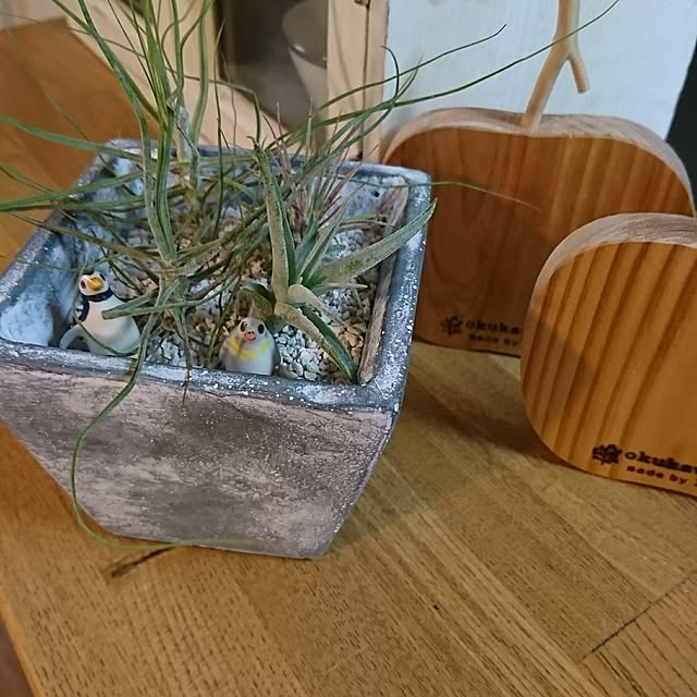 Matsu62さんの実例写真
