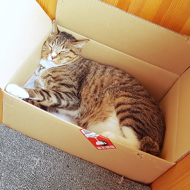 coconaさんの実例写真